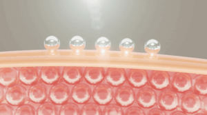 Water droplets resting on a translucent skin barrier above rows of lipid cells, representing skin barrier repair